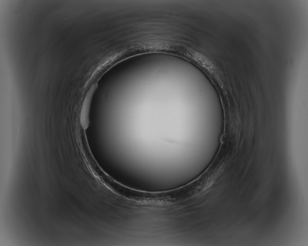 X0000085820625200703231357