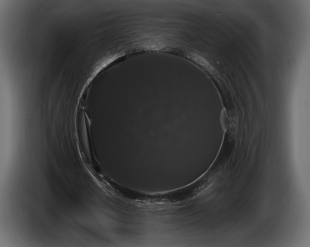 X0000085820626200703231357