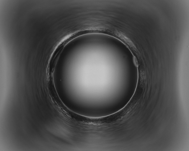 X0000085820628200703231357