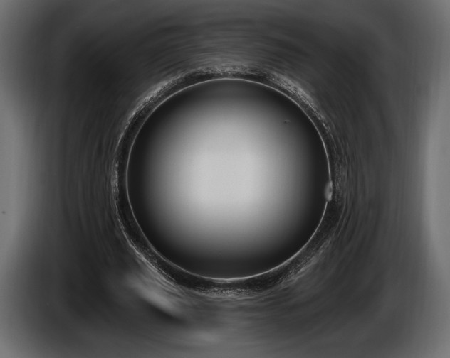 X0000085820629200703231357