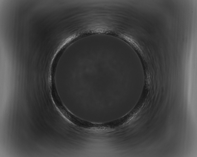 X0000085820630200703231357