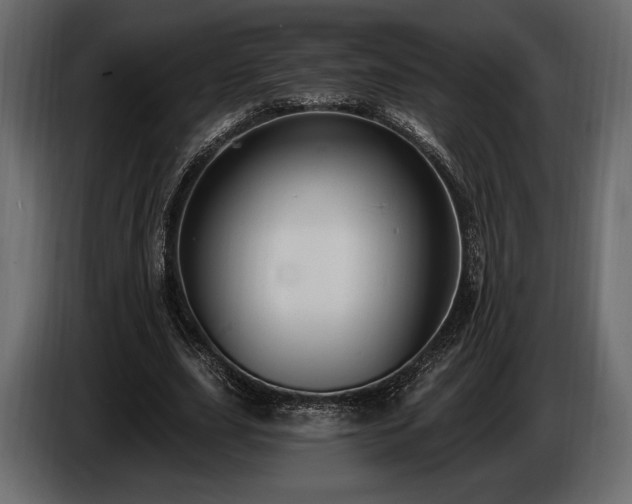 X0000085820631200703231357