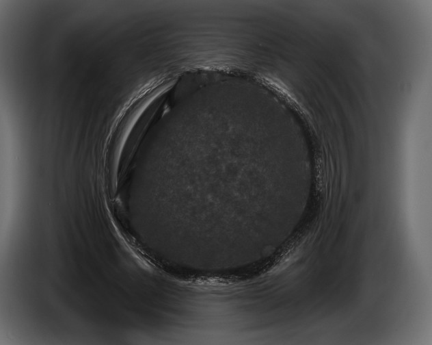 X0000085820634200703231357