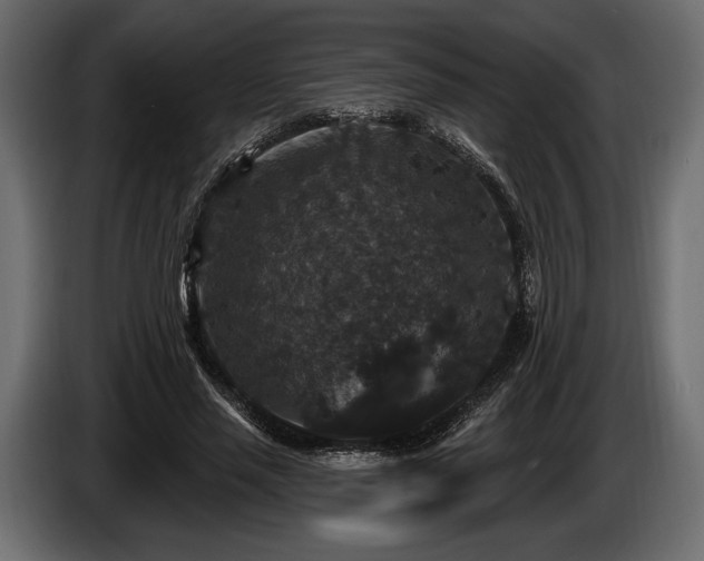 X0000085820637200703231357