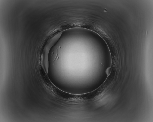 X0000085820639200703231357