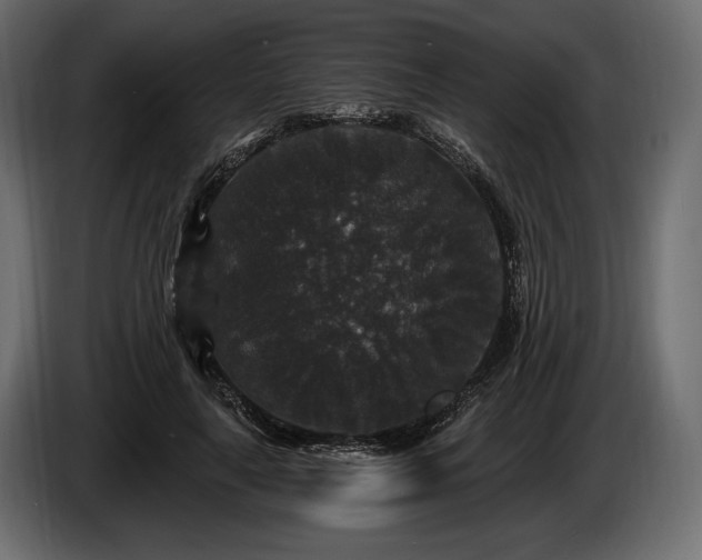 X0000085820643200703231358