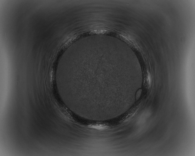 X0000085820647200703231358