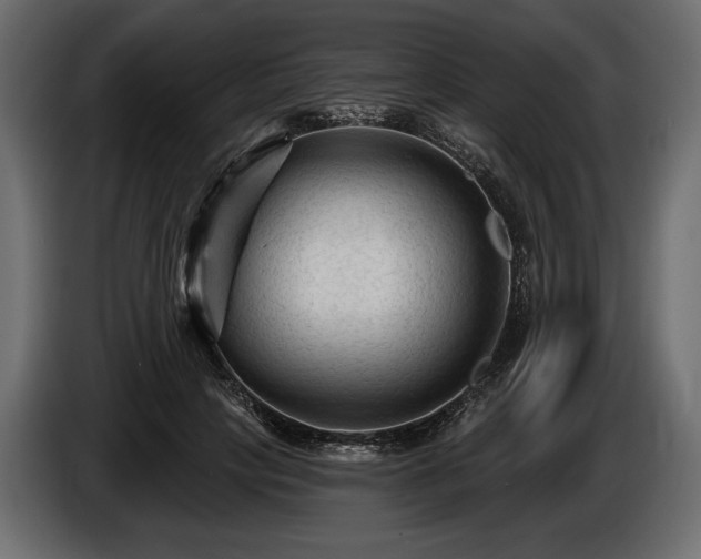 X0000085820649200703231358