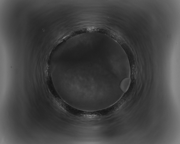 X0000085820650200703231358