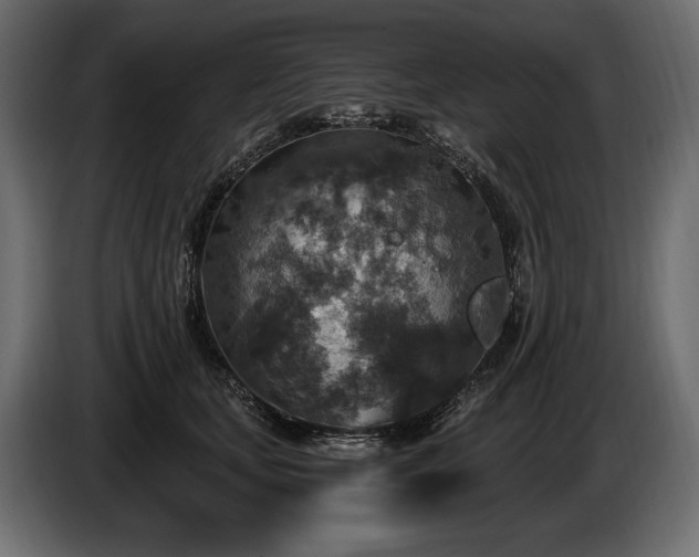 X0000085820659200703231358