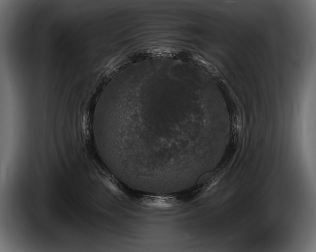 X0000085820663200703231358