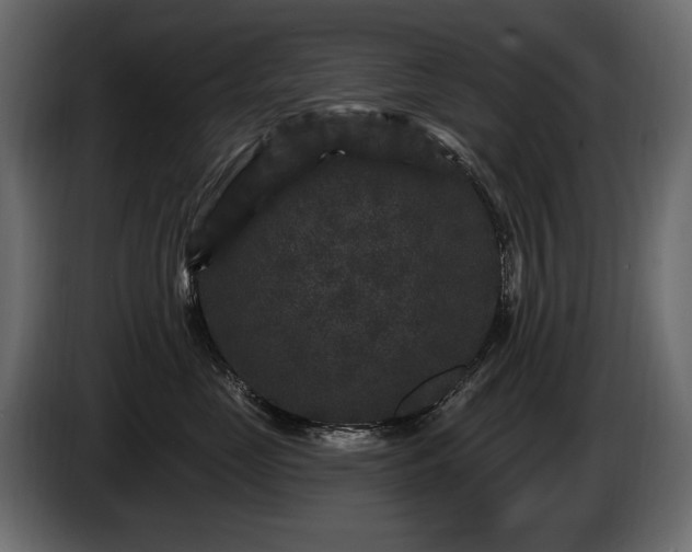 X0000085820669200703231358