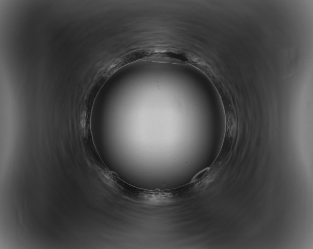 X0000085820670200703231358