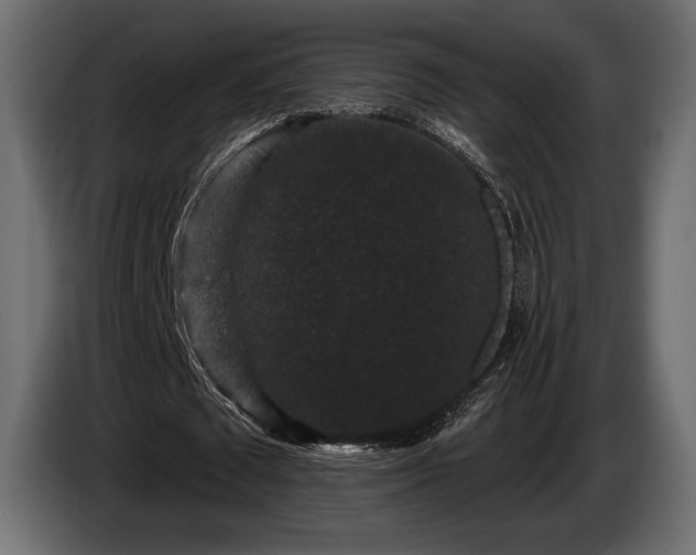 X0000085820673200703231357