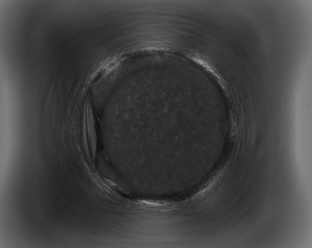 X0000085820681200703231357