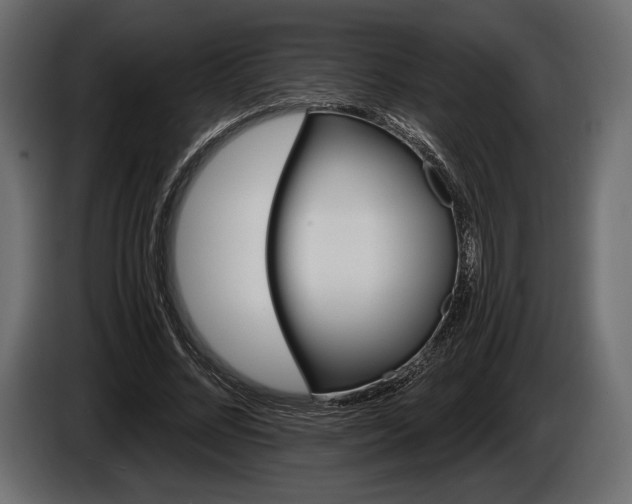 X0000085820684200703231357