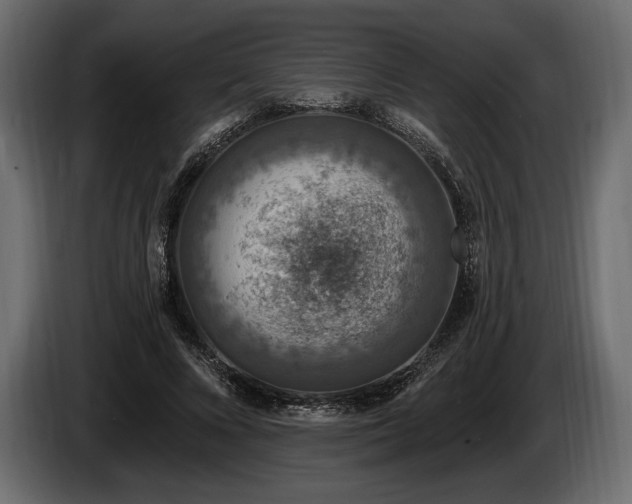 X0000085820688200703231357
