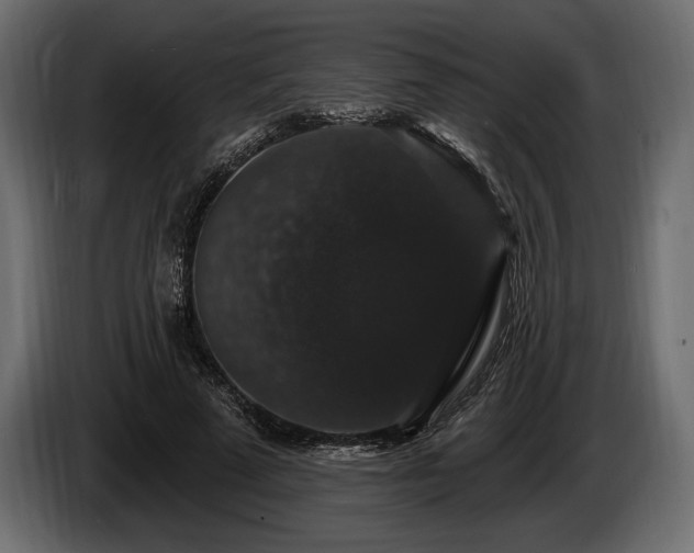 X0000085820689200703231357