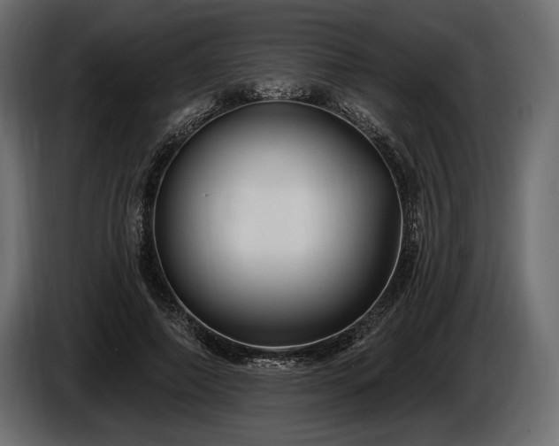 X0000085820690200703231357