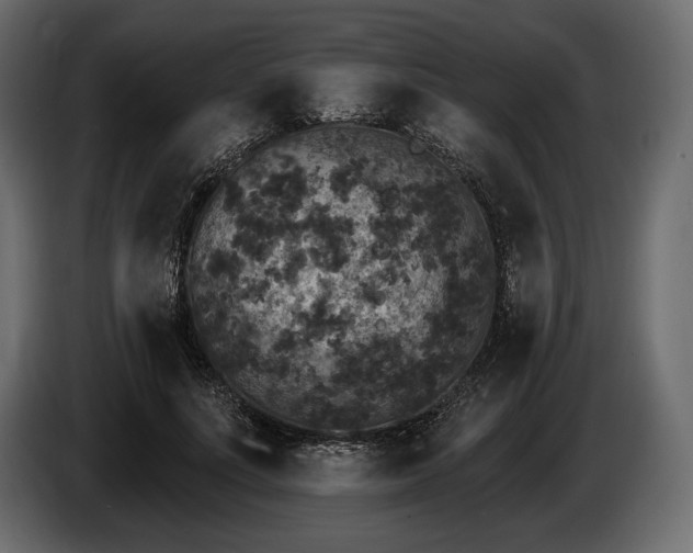 X0000085820691200703231357