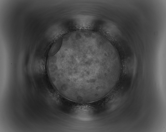 X0000085820695200703231357