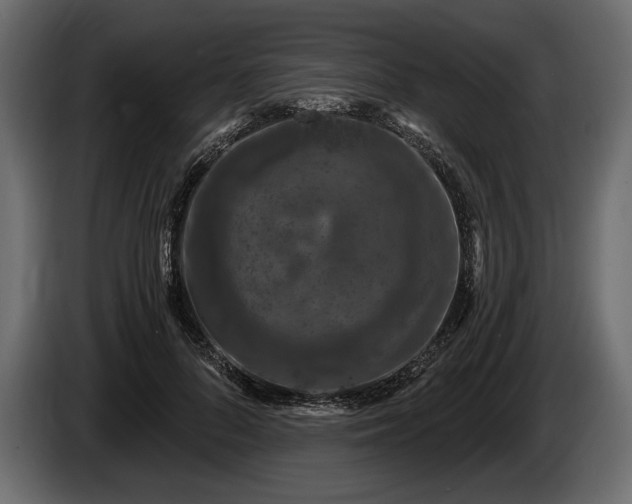 X0000085820696200703231357