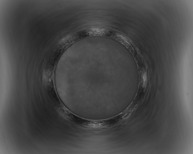 X0000085820701200703231357