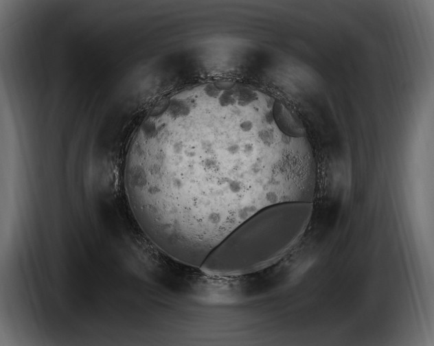 X0000085820703200703231357