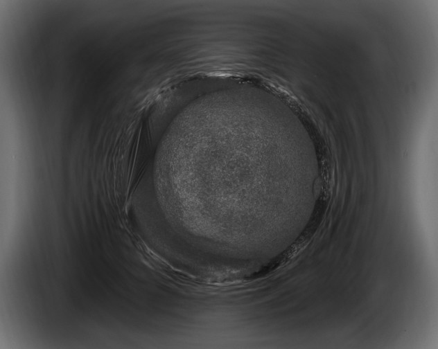 X0000085820704200703231357