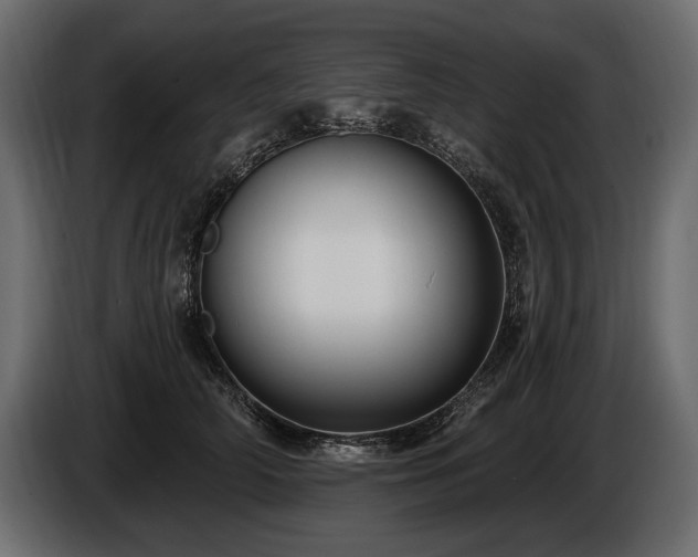 X0000085820706200703231357