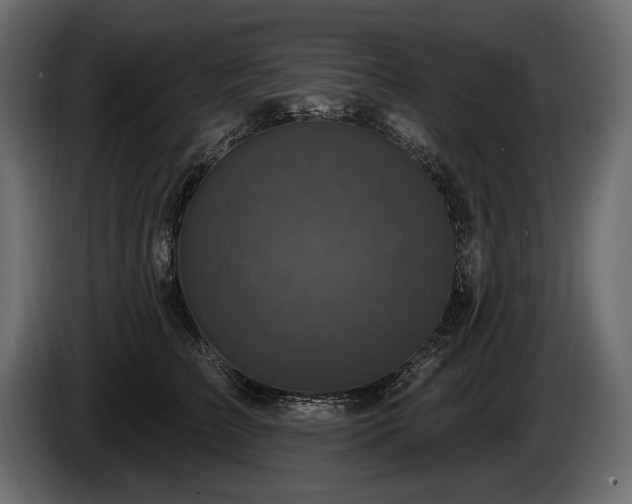 X0000085820709200703231357