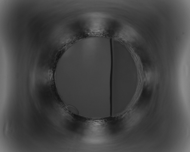 X0000085820711200703231357