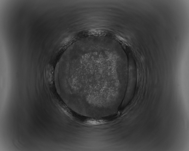 X0000085820712200703231357