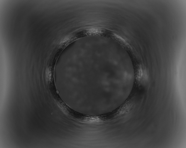 X0000085820715200703231357