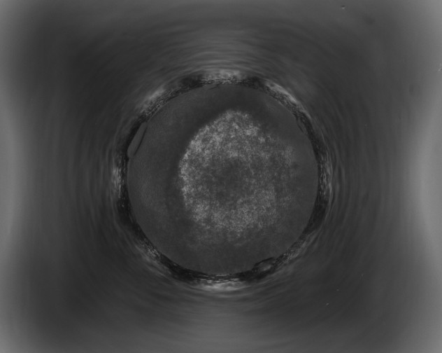 X0000085820716200703231357