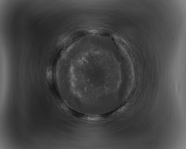 X0000085820720200703231357