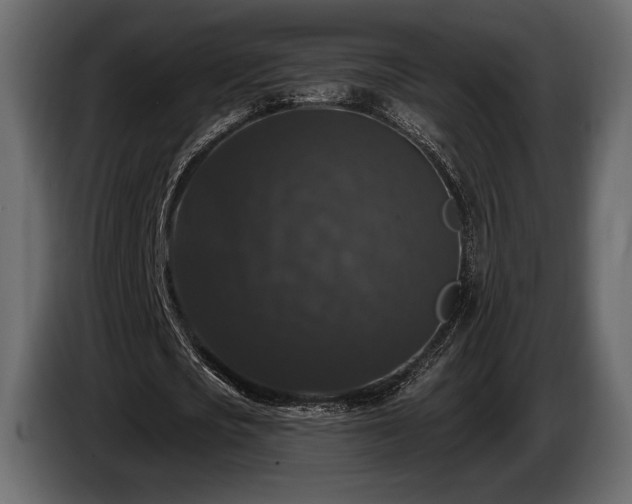 X0000085820721200703231356