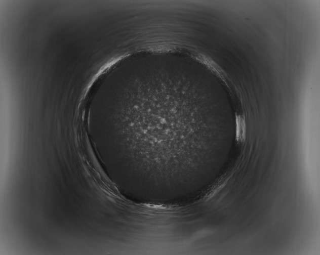 X0000085820723200703231356