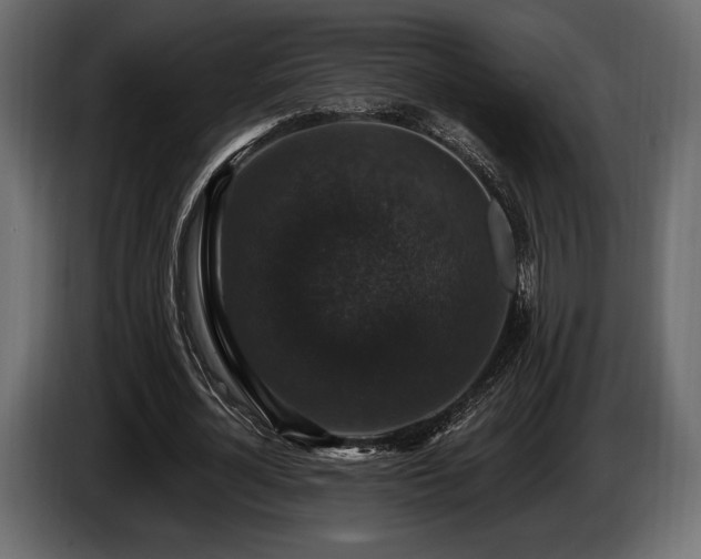 X0000085820724200703231356