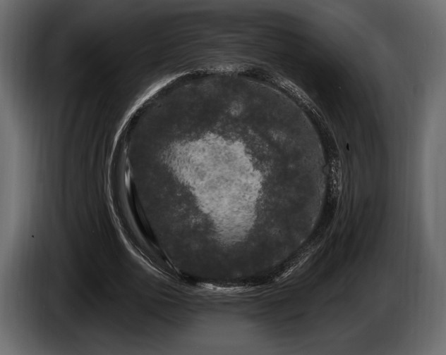X0000085820726200703231356