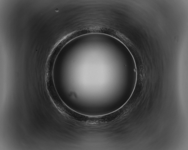 X0000085820728200703231356