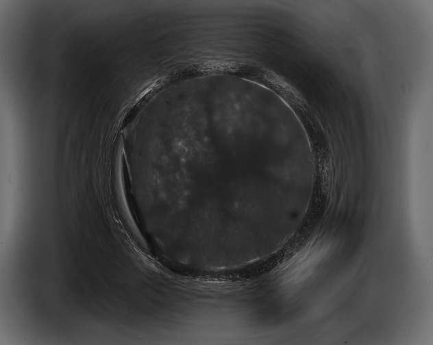 X0000085820729200703231356
