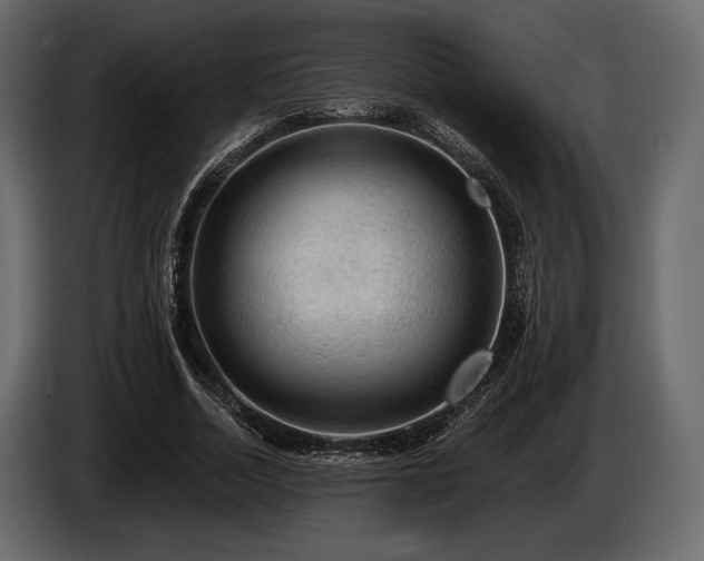 X0000085820730200703231356