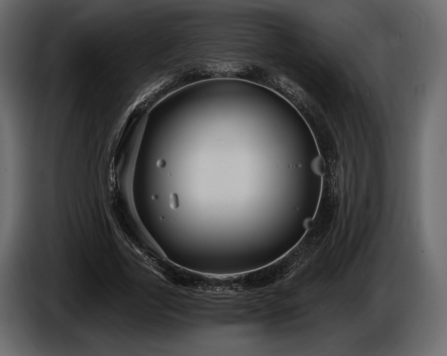 X0000085820731200703231356