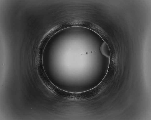 X0000085820732200703231356