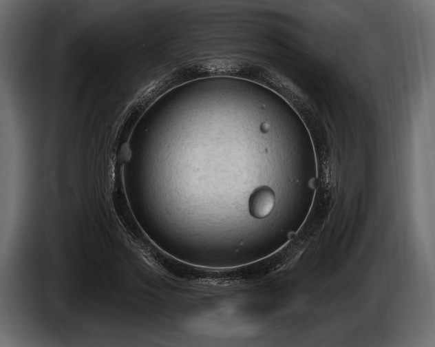 X0000085820733200703231356