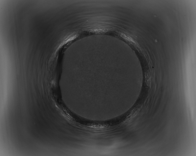 X0000085820735200703231356