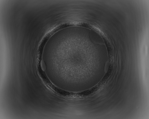 X0000085820736200703231356