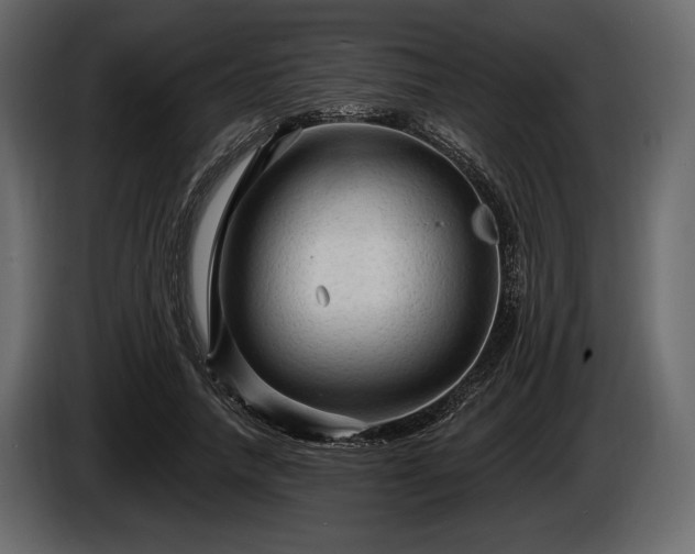 X0000085820738200703231356