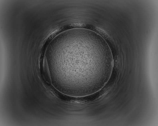 X0000085820739200703231356